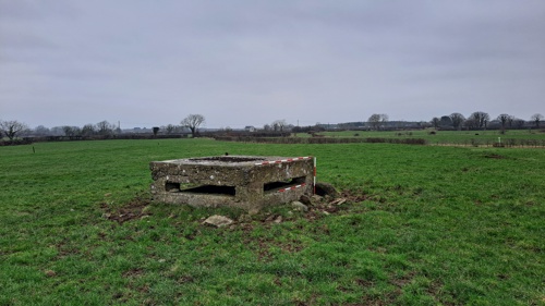Illustration 1: Sunken pillbox (PB10) in Ballycullen (Photo: TII)