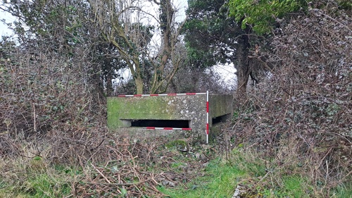 Illustration 2: Newly recorded sunken pillbox (PB16) in Askeaton (Photo: TII)
