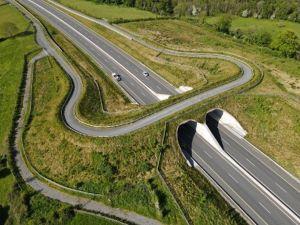 grassy motorway