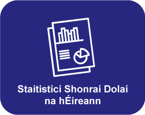 Irish Toll Data Statistics