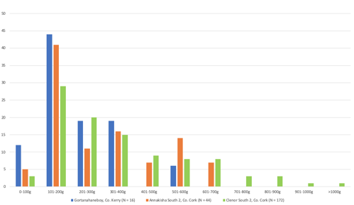 Illus. 9: Smithing hearth cakes (%) per weight category from excavated iron-working sites at Gortanahaneboy, Co. Kerry, and Annakisha South 2 and Clenor South 2, Co. Cork.