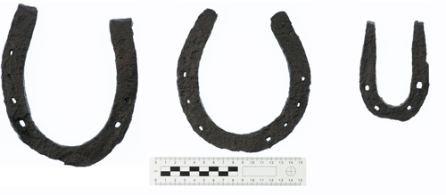 Illus. 7: Examples of different sized horseshoes for a range of horse and pony types from the Clenor South smithy (Photo: Dylan Duane Roche).