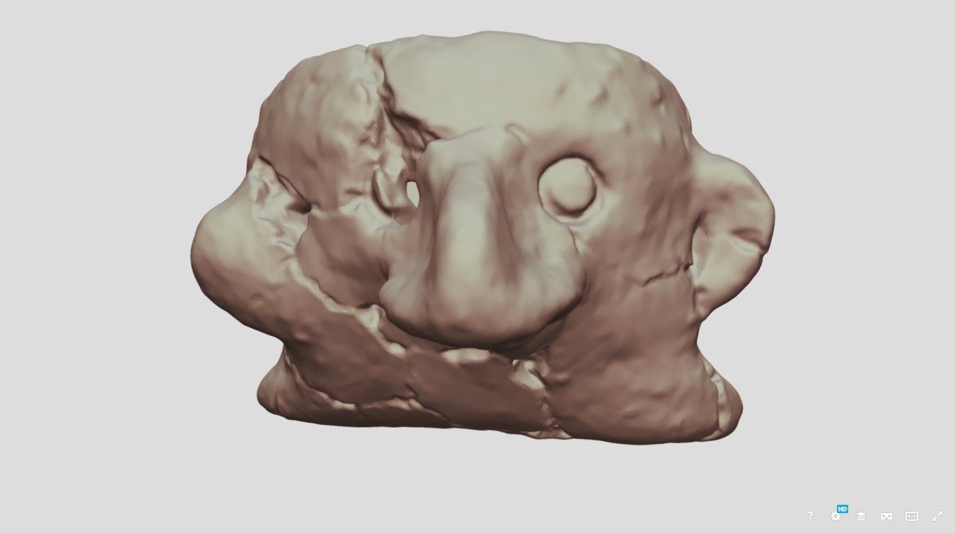 3D model of the Mitchelstown face cup