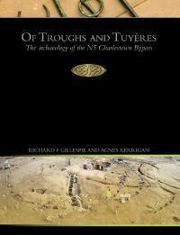 Of Troughs and Tuyères: the archaeology of the N5 Charlestown Bypass