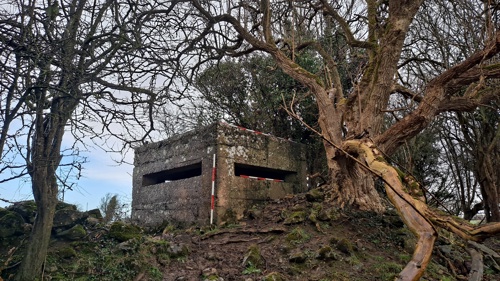 Illustration 3: Raised pillbox (PB25) in Moig South (Photo: TII