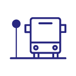 Bus Networks and Vehicles