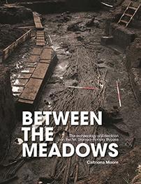 Between the Meadows: the archaeology of Edercloon on the N4 Dromod–Roosky Bypass